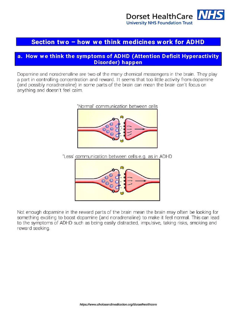 How Adhd Drugs Work Pdf