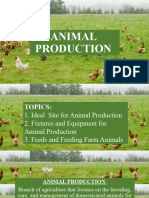 Animal Production