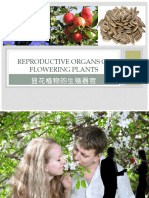 Bio Ppt - Plant Flower 植物的花果种子 2022