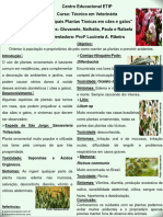 Paula - INICIAÇÃO A PESQUISA Plantas Imprimir LUCINEIA