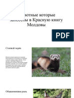Животные Которые Занесены в Красную Книгу Молдовы