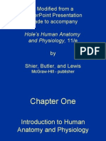 Modified From A Powerpoint Presentation Made To Accompany: Hole'S Human Anatomy and Physiology, 11/E