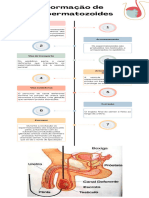 Multicolor Professional Business Timeline Infographic