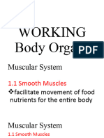 Working Body Organs