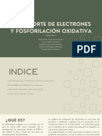 Transporte de Electrones y Fosforilación Oxidativa