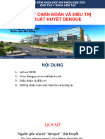 Nguyễn Minh Tuấn-SXH Dengue