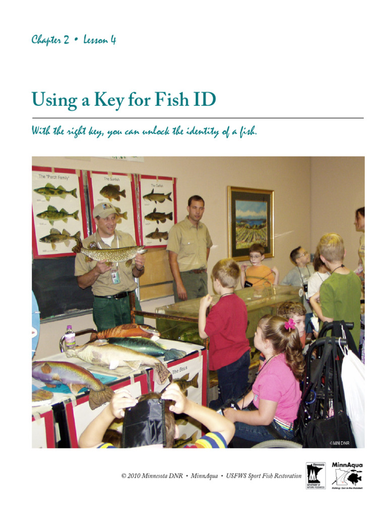2 4 Using A Key For Fish Id | PDF | Fish | Aquatic Animals