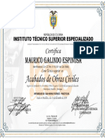 Itse Mauricio Galindo Espinosa Tecnico Superior en Acabados de Obra Civiles