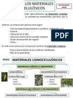 Tema 02. Química de Los Materiales Lignocelulósicos