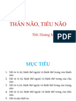 thân não - tiểu não