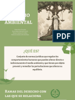 Derecho Ambiental