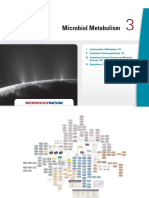 Microbiology Homework Unit III N IV