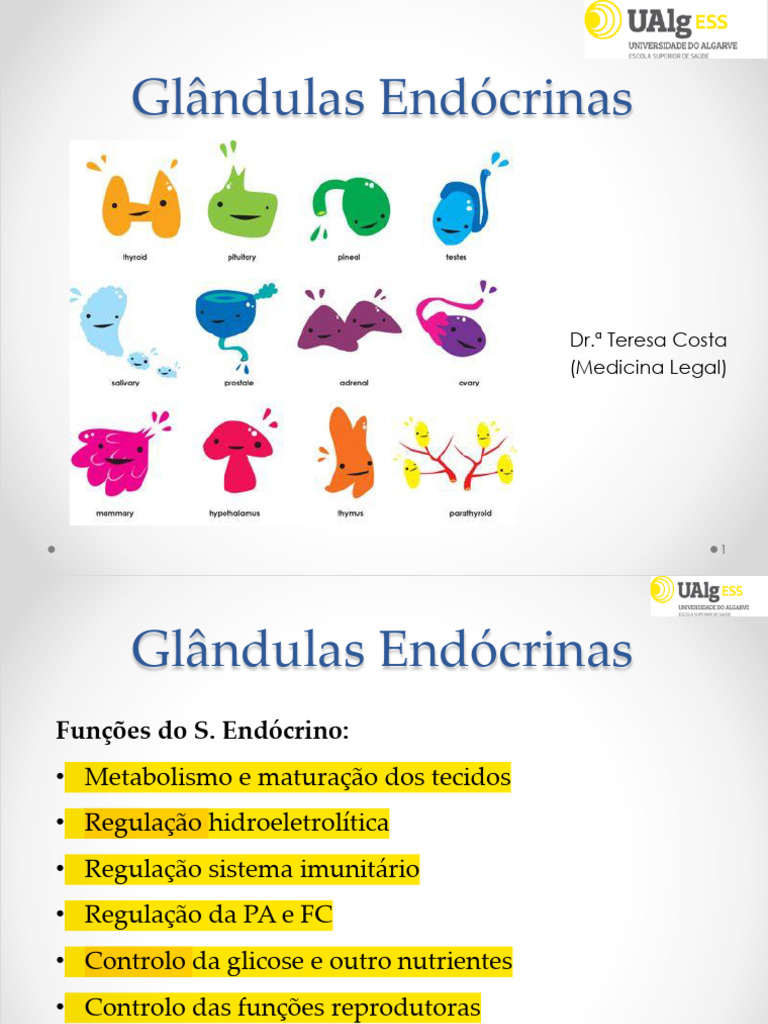Funções e Estruturas das Glândulas Endócrinas | PDF