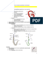 Tema 20. Digenea Sanguíneos - Schistosoma