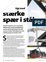 GDS DK 06 2009 Staalspaer DS