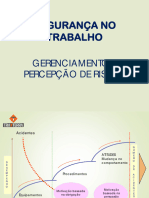 Gerenciamento e Percepção de Risco Rev.1