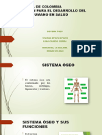 Diapositvas Sistema Oseo