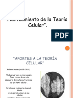 01 Teoria Célular