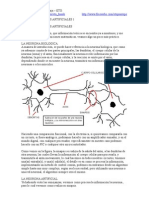 Redes Neuron Ales Artificiales 1