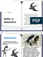 Barza Si Randunica