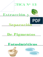 Practica Extraccion y Separacion de Pigmentos Fotosinteticos