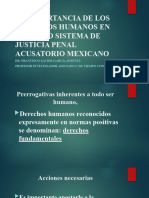 La Importancia DH PPM 1L