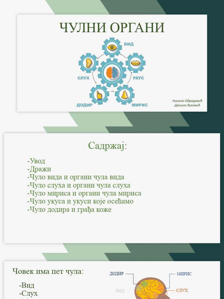 ЧУЛНИ ОРГАНИ | PDF