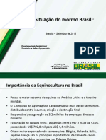 Situacao Do Mormo Brasil