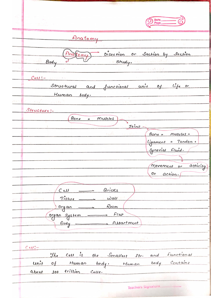 Anatomy intelligence overview