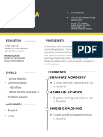 Professional Modern CV Resume