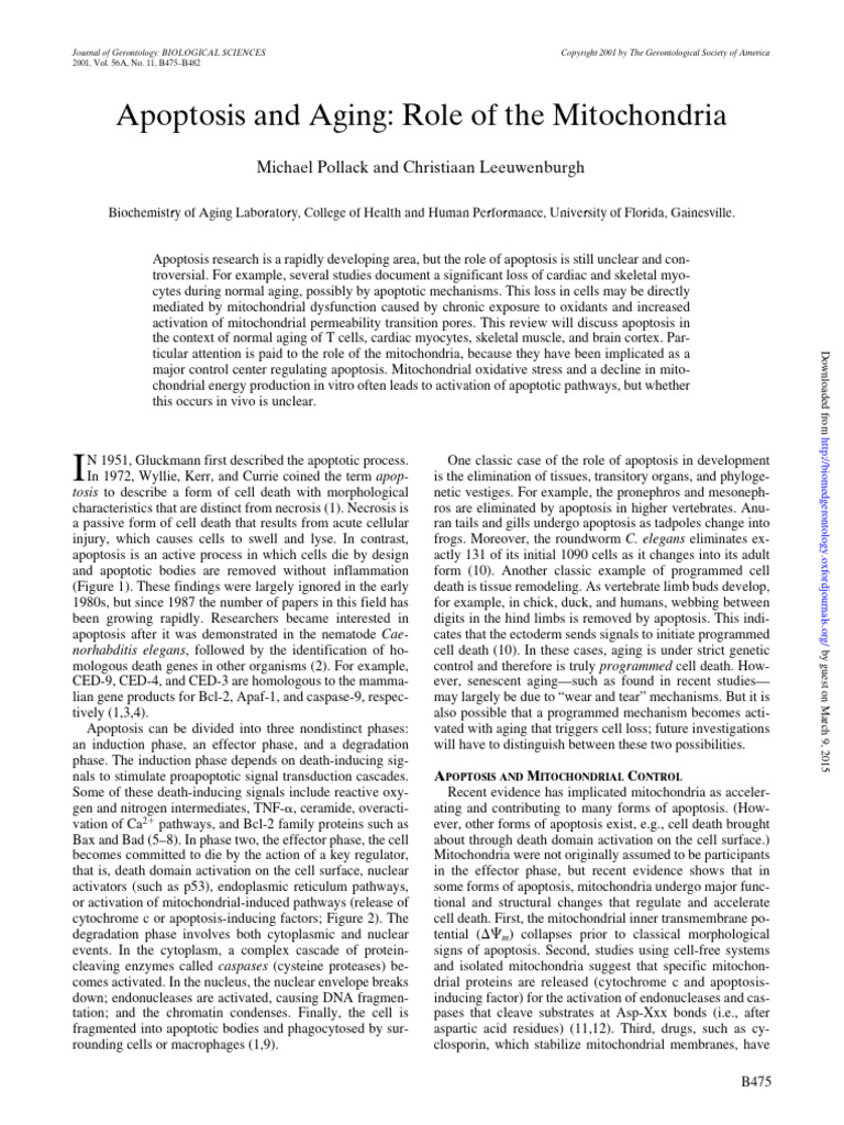 J Gerontol A Biol Sci Med Sci-2001-Pollack-B475-82 | PDF | Apoptosis ...