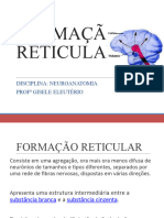 Formação Reticular