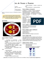 B05 - Selantes de Fossas e Fussuras