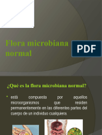Flora Microbiana Normal