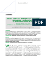 Wirusy Ziemniaka Występujące W Polsce - Znaczenie I Opis Objawów Na Zakażonych Roślinach