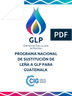 Programa Nacional - Gremial de Gas Licuado de Petróleo 1322024