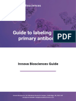 Guide To Labeling Your Primary Antibody 2017