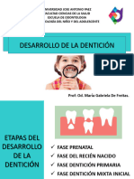 Tema 3 - Desarrollo de La Denticion