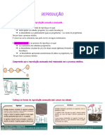 Cópia de Documento Sem Nome PDF