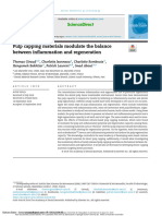 Pulp Capping Materials Modulate The Balance Between Inflammation and Regeneration