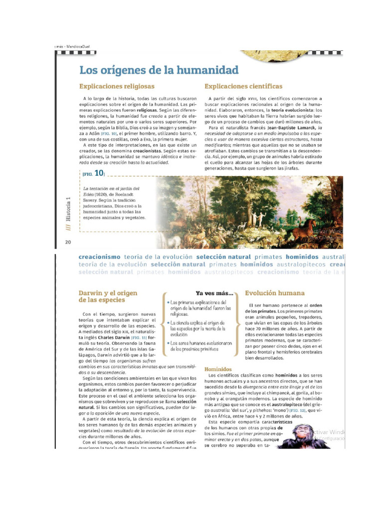 Los Origenes de La Humanidad | PDF