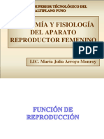 10 Aparato Reproductor Femenino