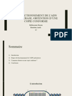 Le Fonctionnement de l'ADN Polymérase, Obtention D'une