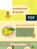 Caracterización de La Piña