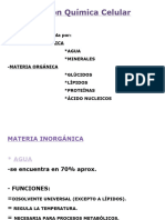 Composición Química Celular WORD