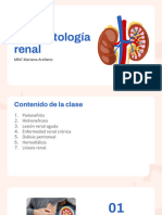 Fisiopatologia Renal PDF