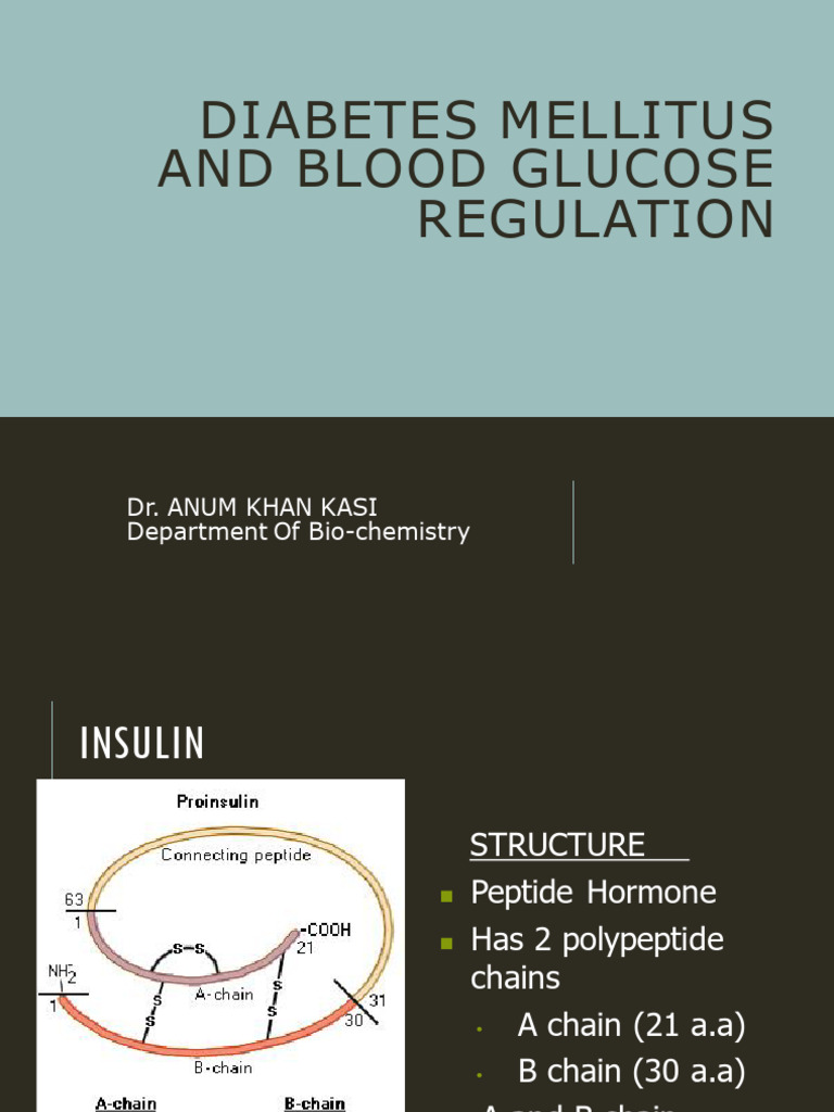 Diabetes Mellitus: Insulin & Glucagon Overview | PDF | Insulin | Diabetes
