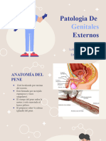 Patologia Gentital Externa
