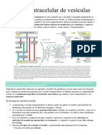 Resmo - Tráfego Intracelular de Vesículas