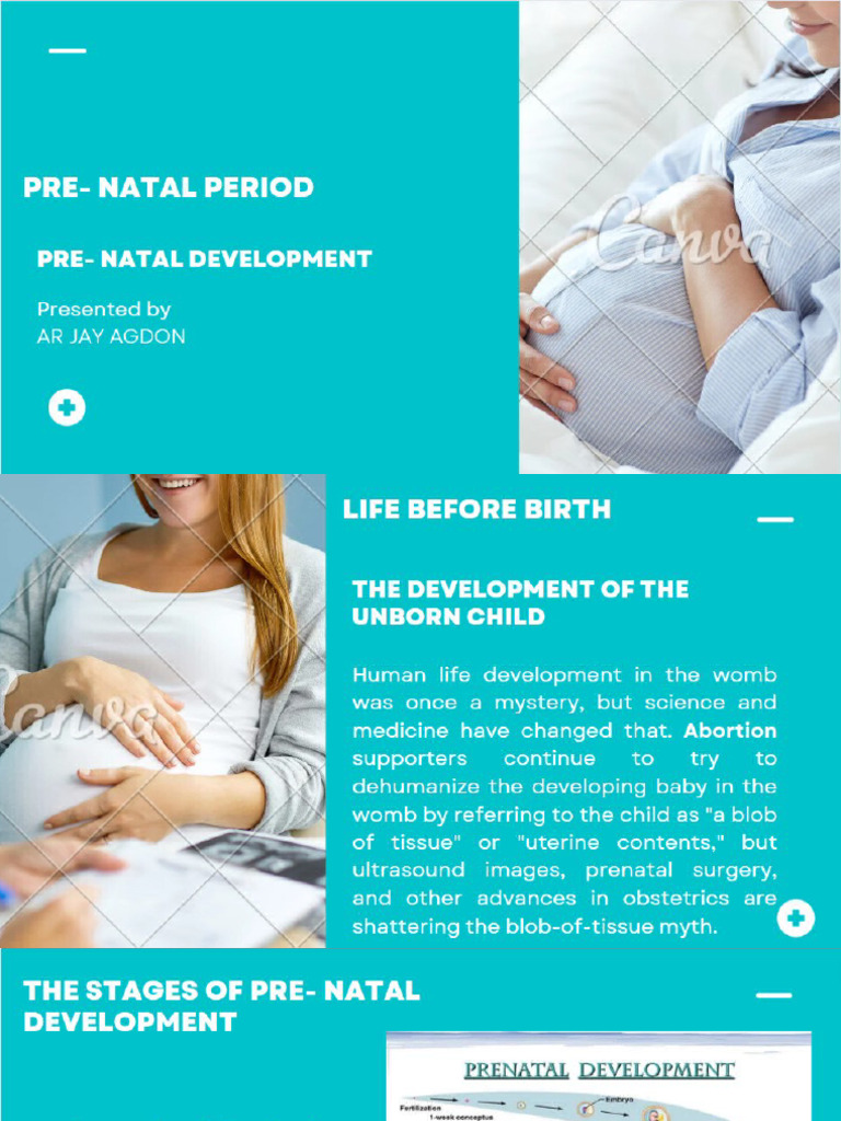 Prenatal | PDF